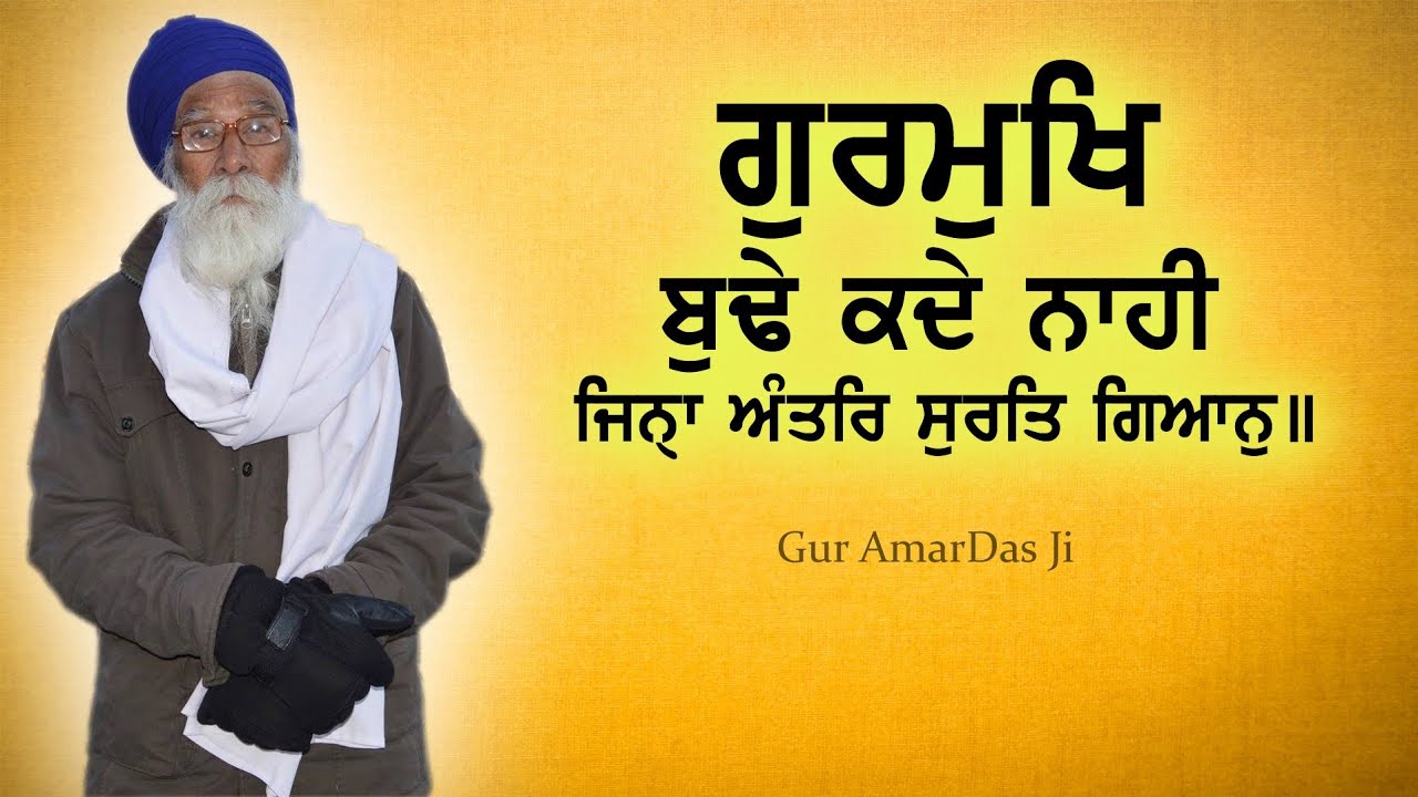 11 of 14 Salok Vaaran Tey Vadheek M3 ਗੁਰਮੁਖਿ ਬੁਢੇ ਕਦੇ ਨਾਹੀ ਜਿਨੑਾ ਅੰਤਰਿ ਸੁਰਤਿ ਗਿਆਨੁ ॥#sachkhojacademy
