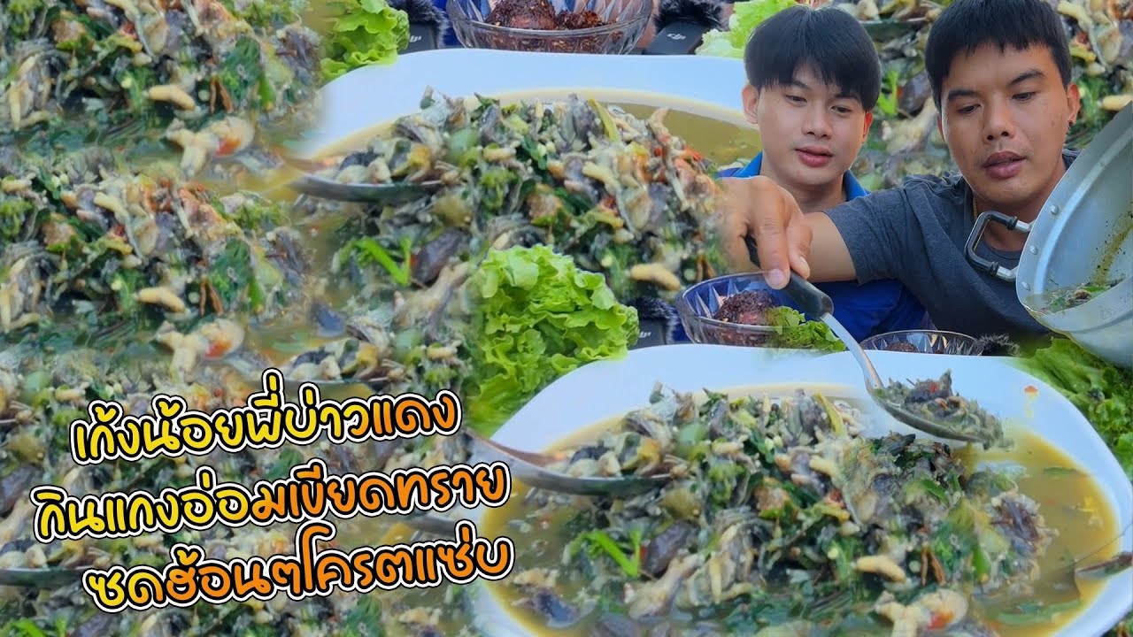 เก้งน้อยพี่บ่าวแดง กินแกงอ่อมเขียดทราย  ซดฮ้อนๆโครตแซ่บ