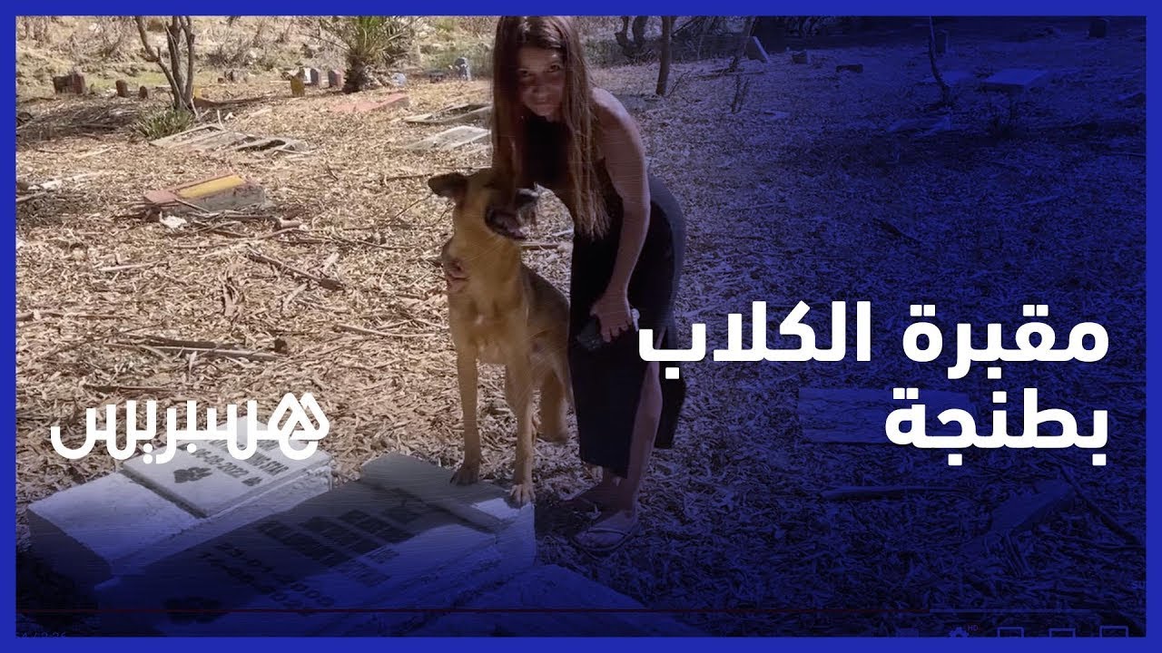 مقبرة الكلاب بطنجة.. الأولى في إفريقيا وعمرها أكثر من 80 سنة