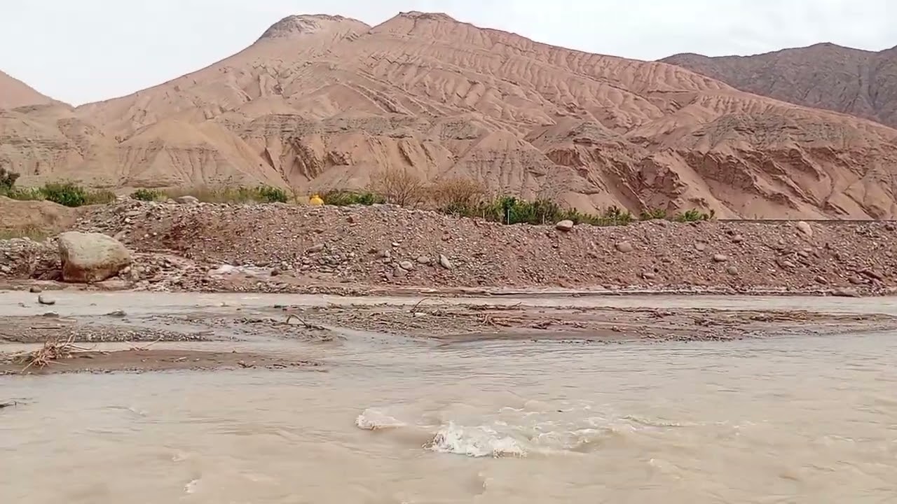 رفتن گوسفندان به طرف لار و طبیعت 🌲🌳🌴🪴🌵🐏🐑🐐🐏🐏🐏🐎🐕‍🦺