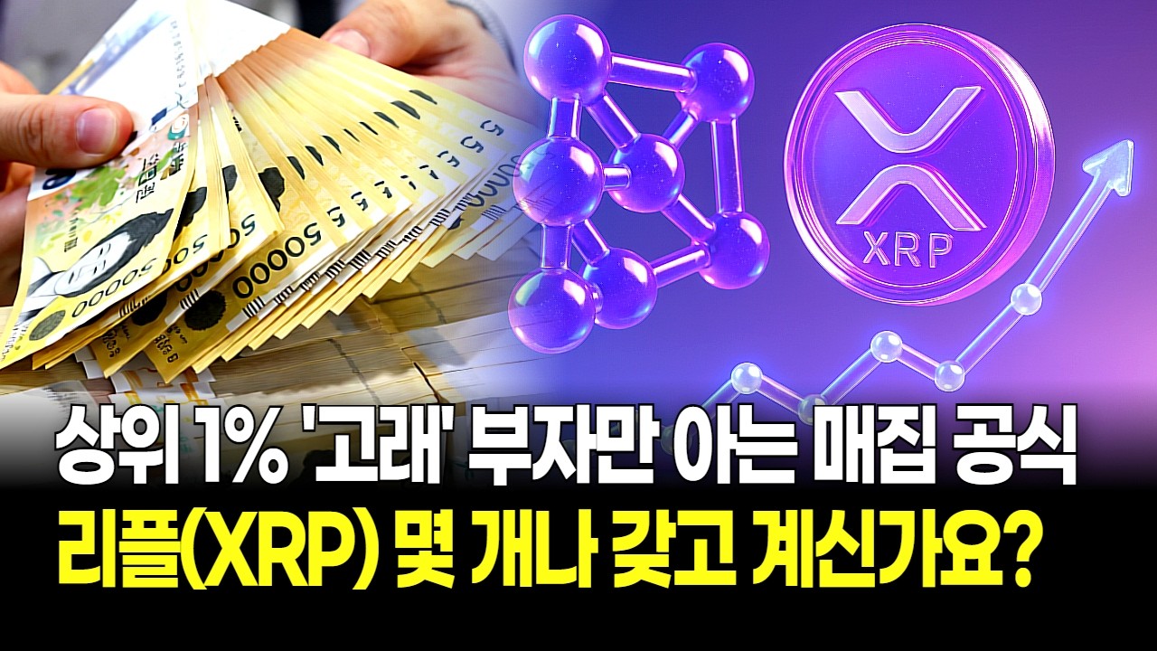 리플(XRP) 몇 개나 갖고 계신가요? 부자만 아는 매집 공식! 상위 1% 고래들 지갑 비우지 않는 이유