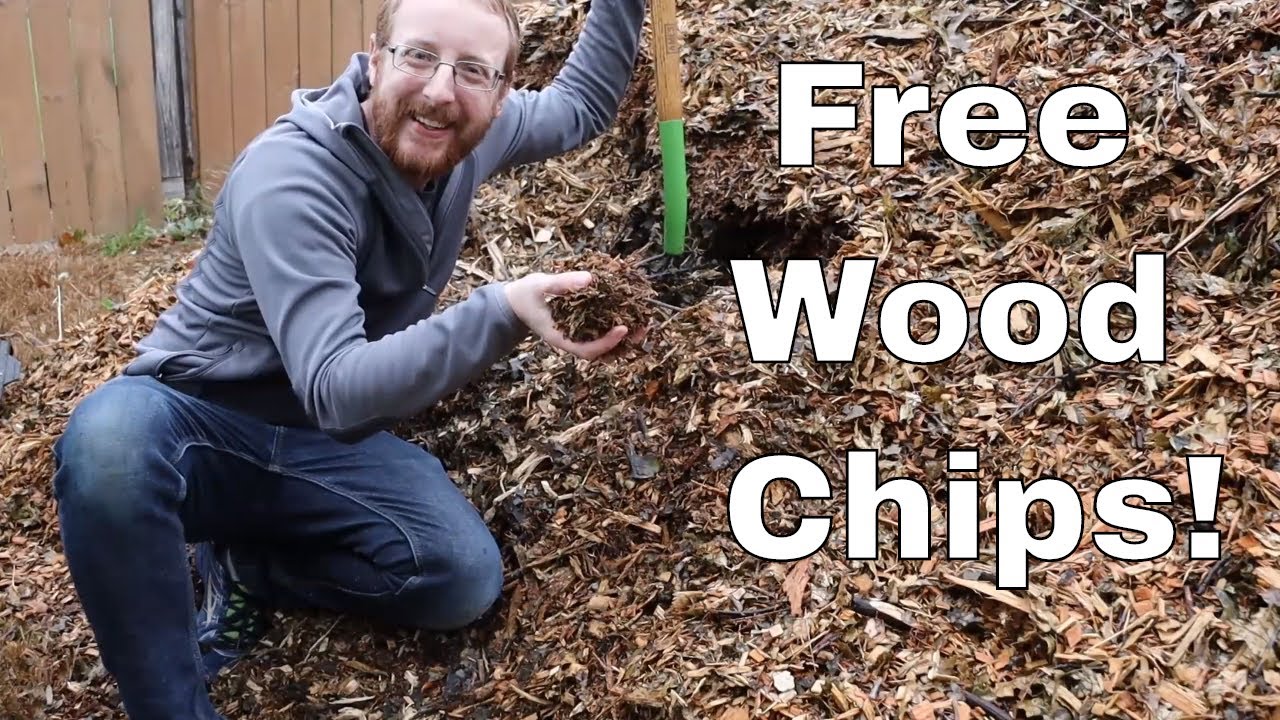 Free Wood Chips!  (Chip Drop)