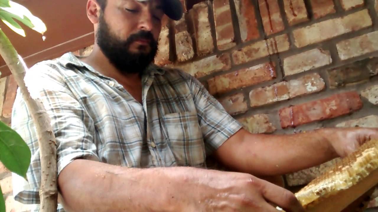 Bee removal from an overhang/attic,  in Mission,TX by Luis Slayton of Bee Strong Honey
