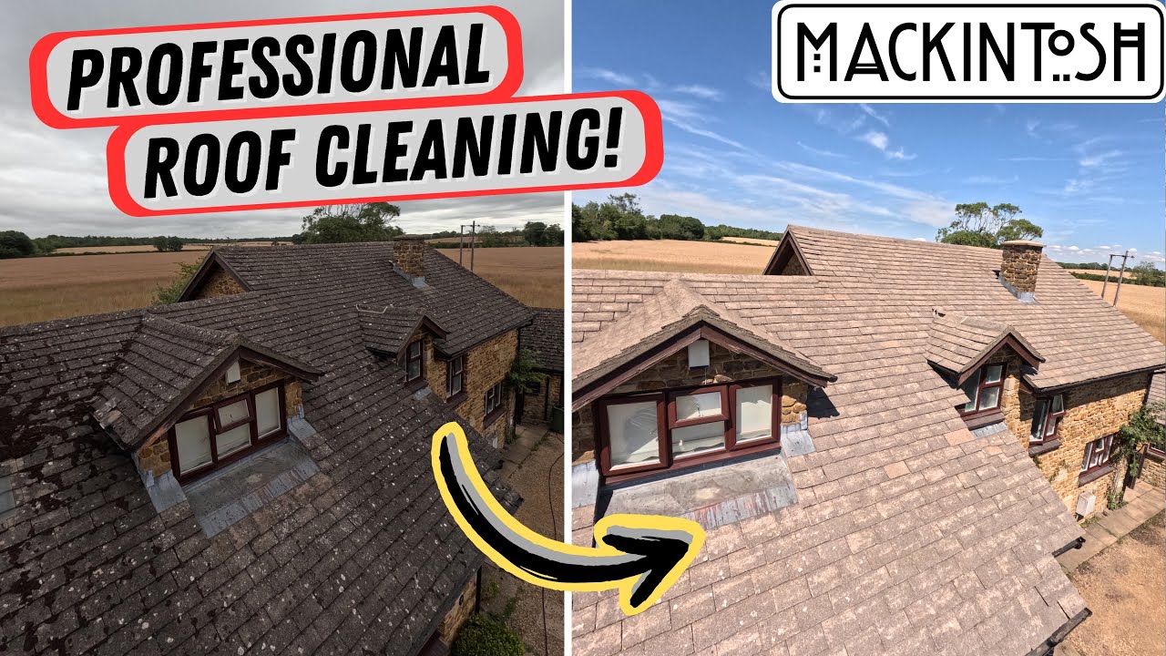 Professional Roof Cleaning