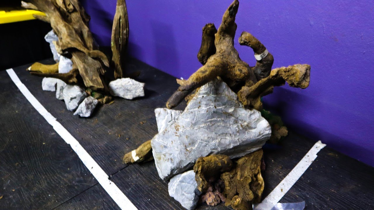 Así HICE el HARDSCAPE de mi ACUARIO (300 litros) – Ideas y Consejos ✅