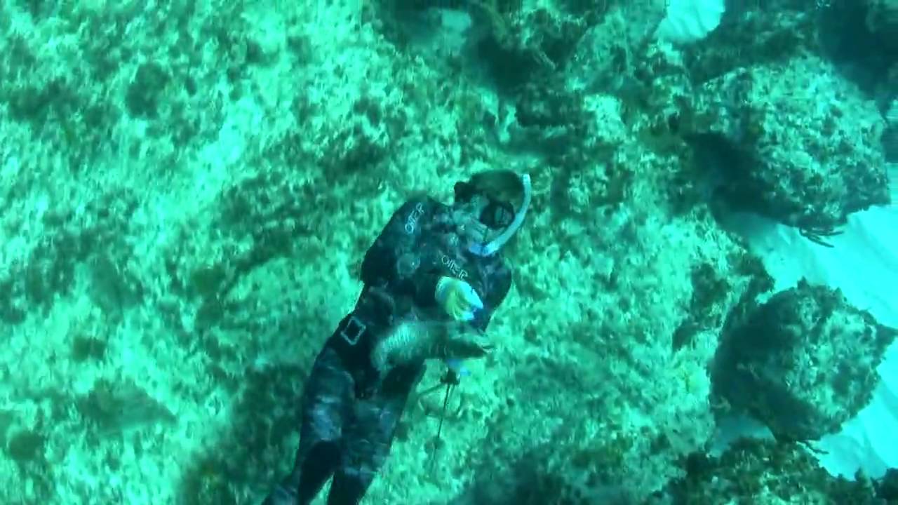 Spearfishing Grouper in the Bahamas HD