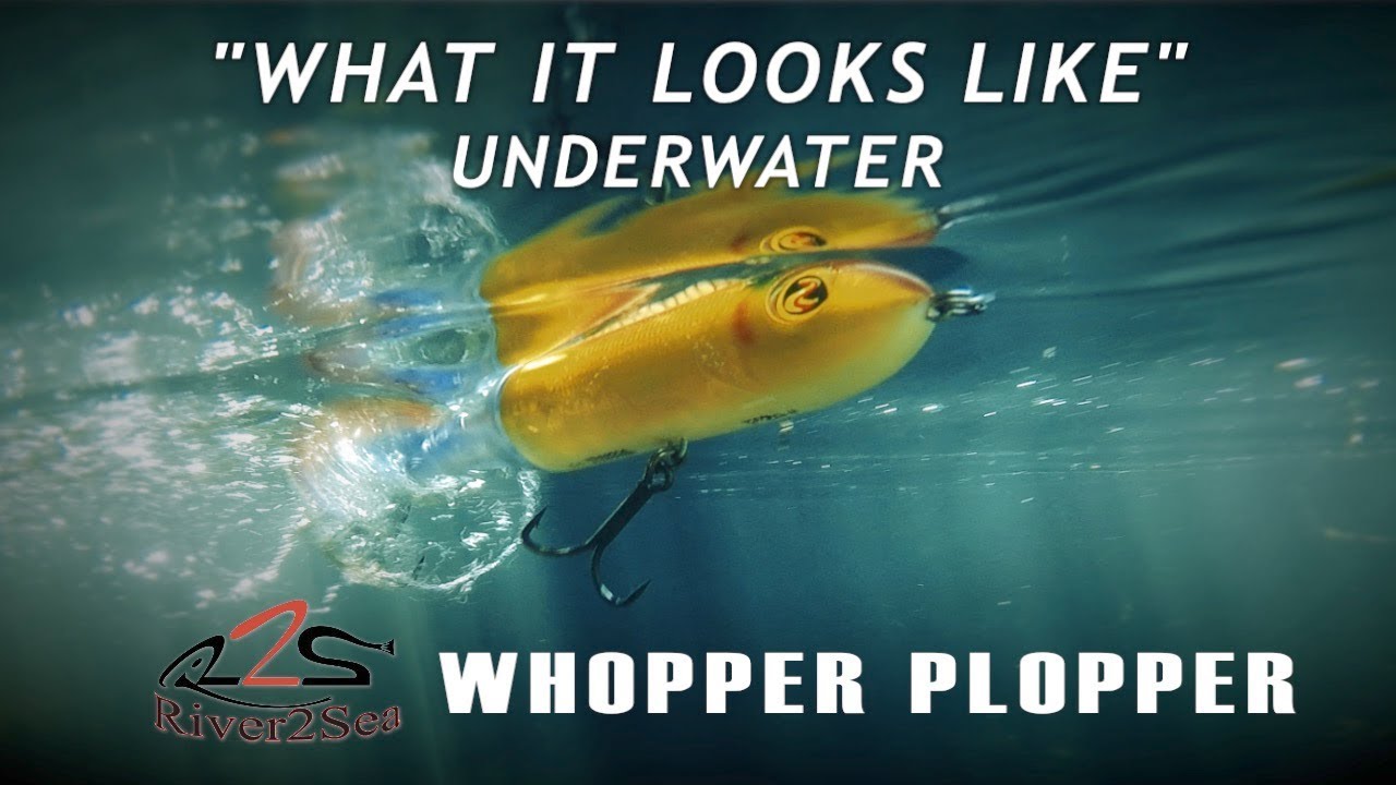 River2Sea Whopper Plopper | What it Looks Like Underwater