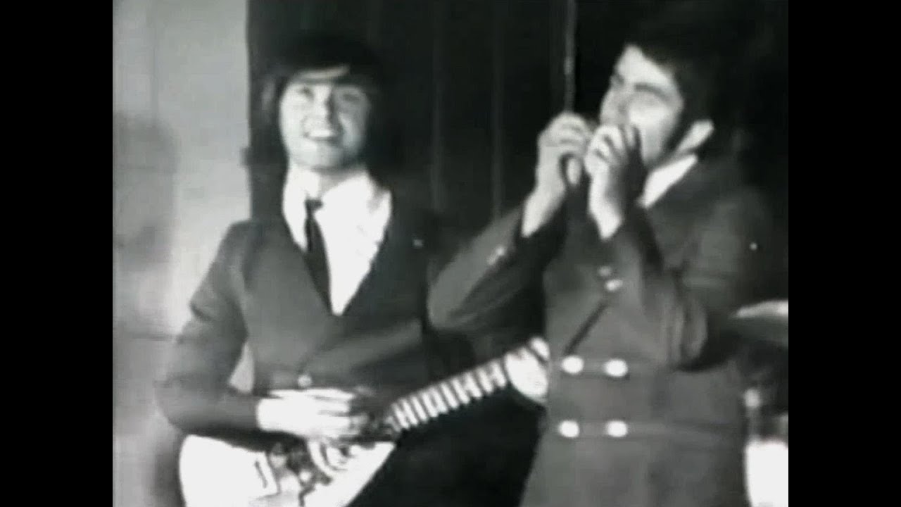 NEW * Psychotic Reaction - Count Five {DES Stereo} 1966