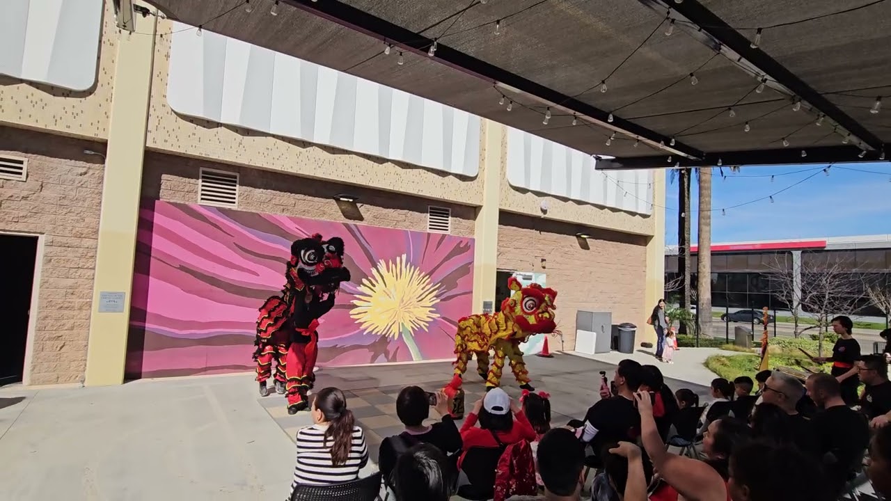 Lion Dance at Anaheim Central Library February 22, 2026 Part 3