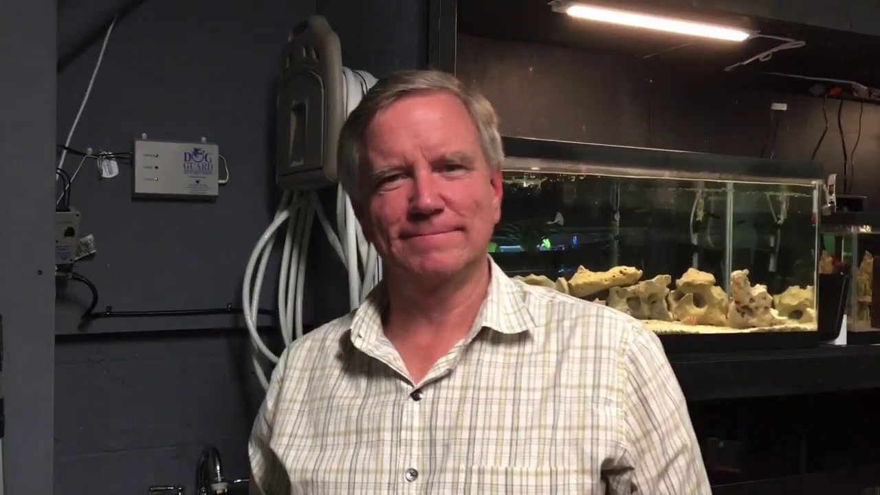 Billy Self Fish Room Tour #africancichlids #lake Tanganyika cichlids