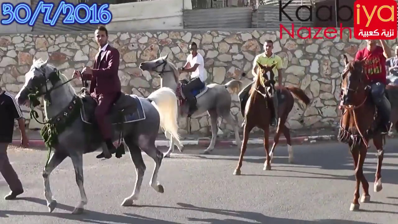 عبد حامد أجمل زفة خيل فلسطين العريس محمد احمد فنش كعبيه افراح ابناء المرحوم ابو رشاد #أفراح_الكعبيه
