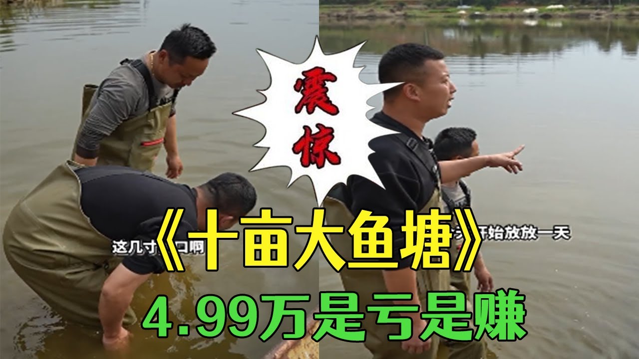 十畝大魚塘，4.99萬是虧是賺？#小飛哥#三農 #鄉村守護人 #新農人計劃2026#包塘