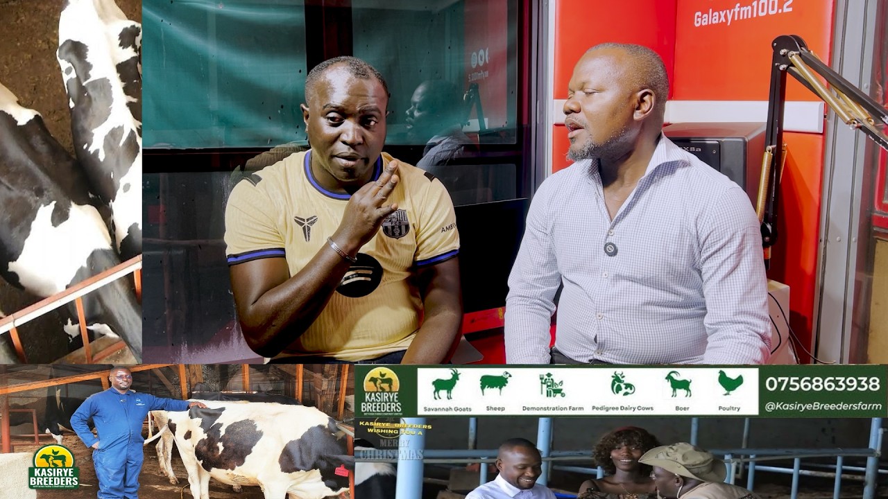Unstoppable Gunners fear no one, Bruno for EPL award, City-Chelsea misery, Afcon mess