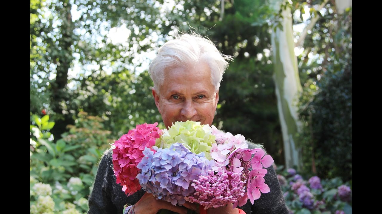 Get Gardening: Heavenly Hydrangeas