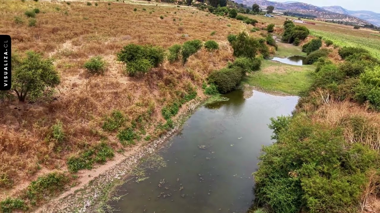 311 VDM | Los Toros.