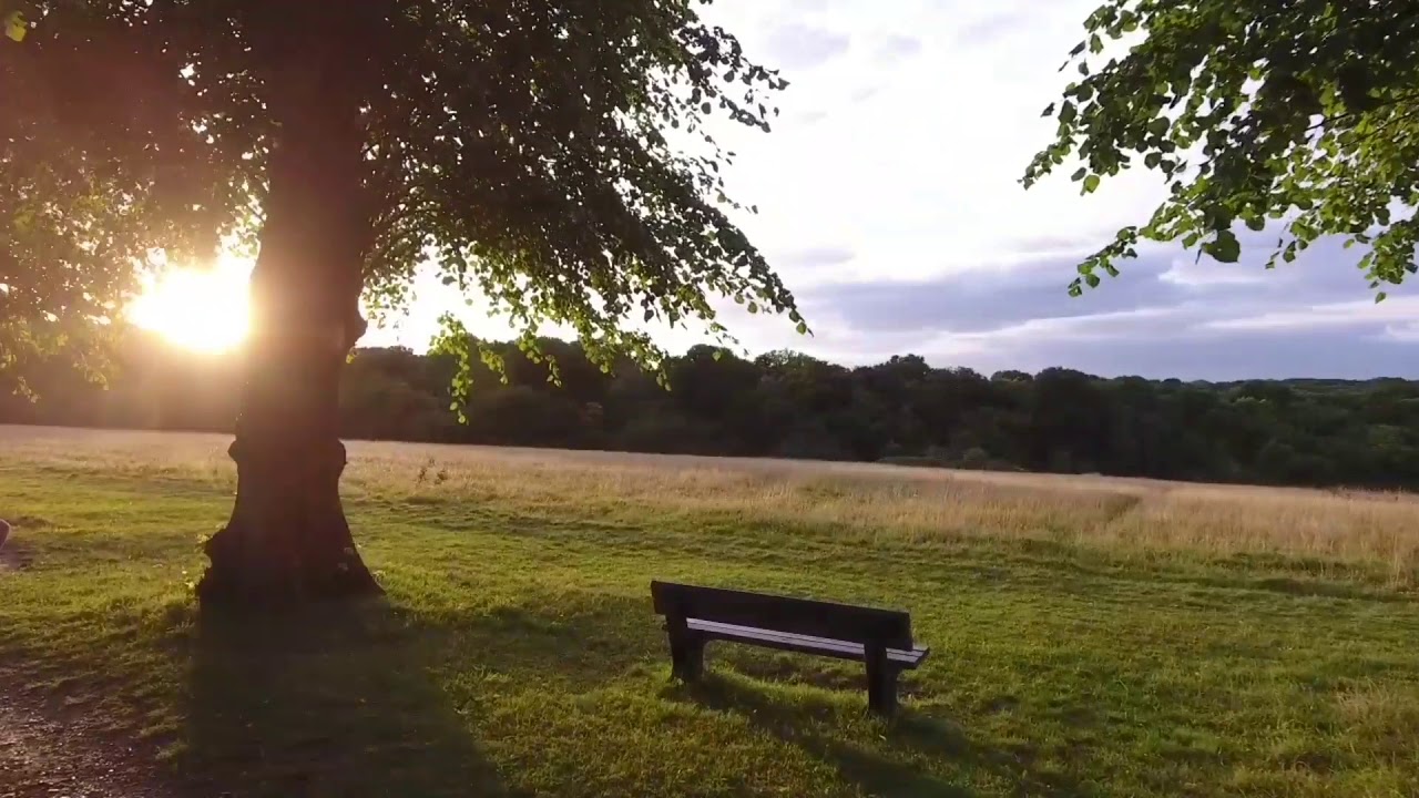 Trent Park - Cockfosters, London