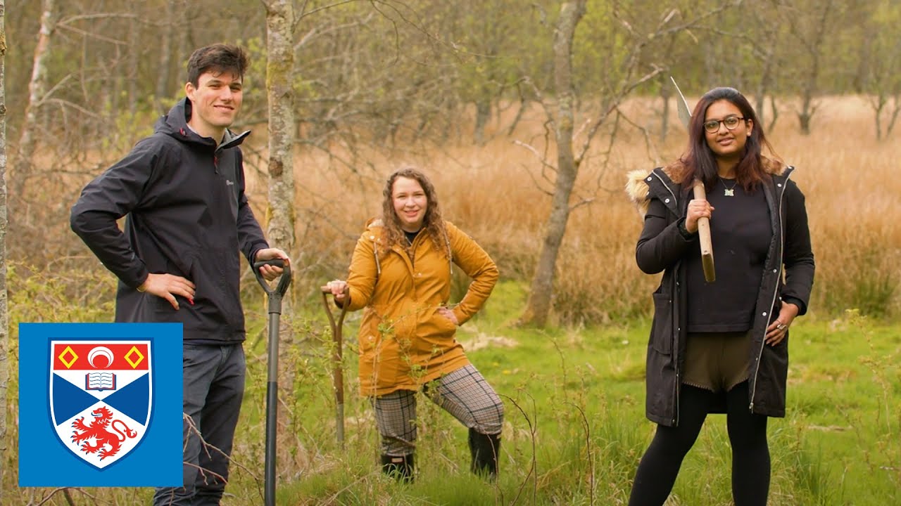 Global Sustainable Development MSc