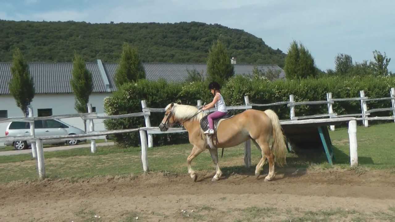 Lovarda - bemutatkozó kisfilm