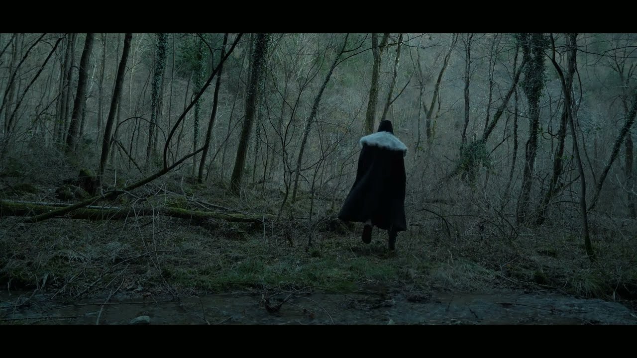 Borgar  -  Fylgja