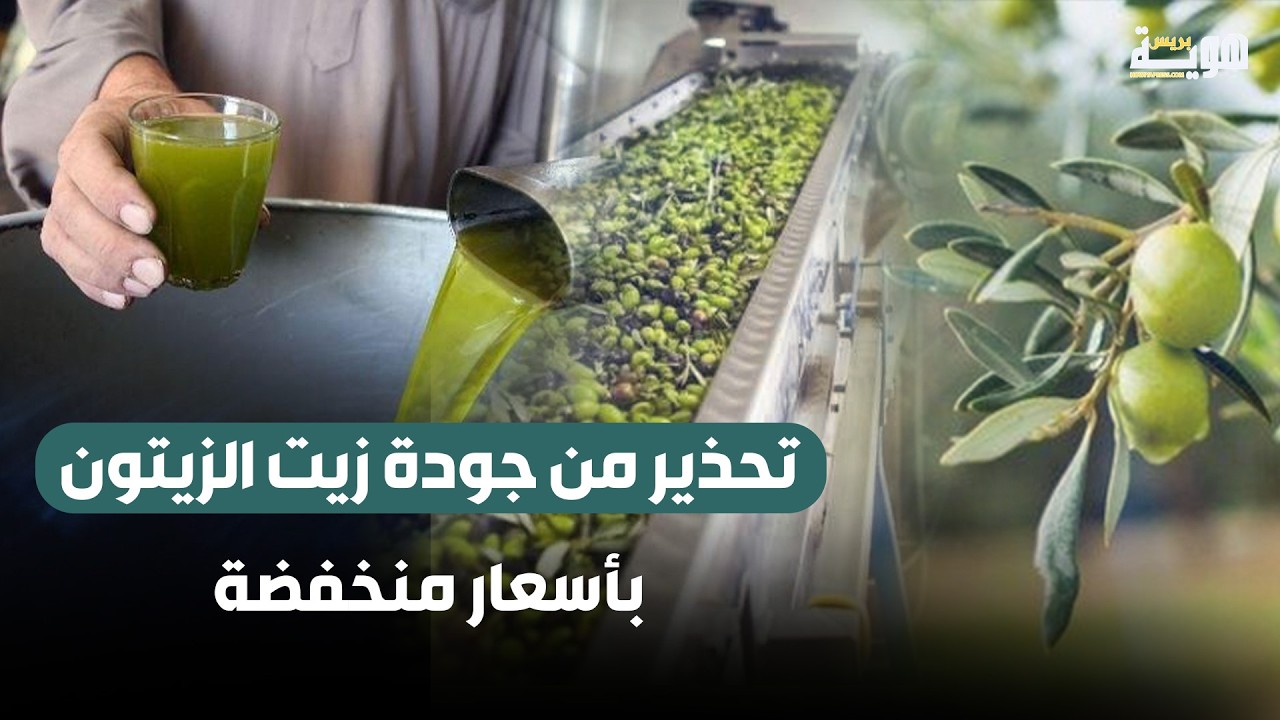 تحذير من جودة زيت الزيتون بأسعار منخفضة