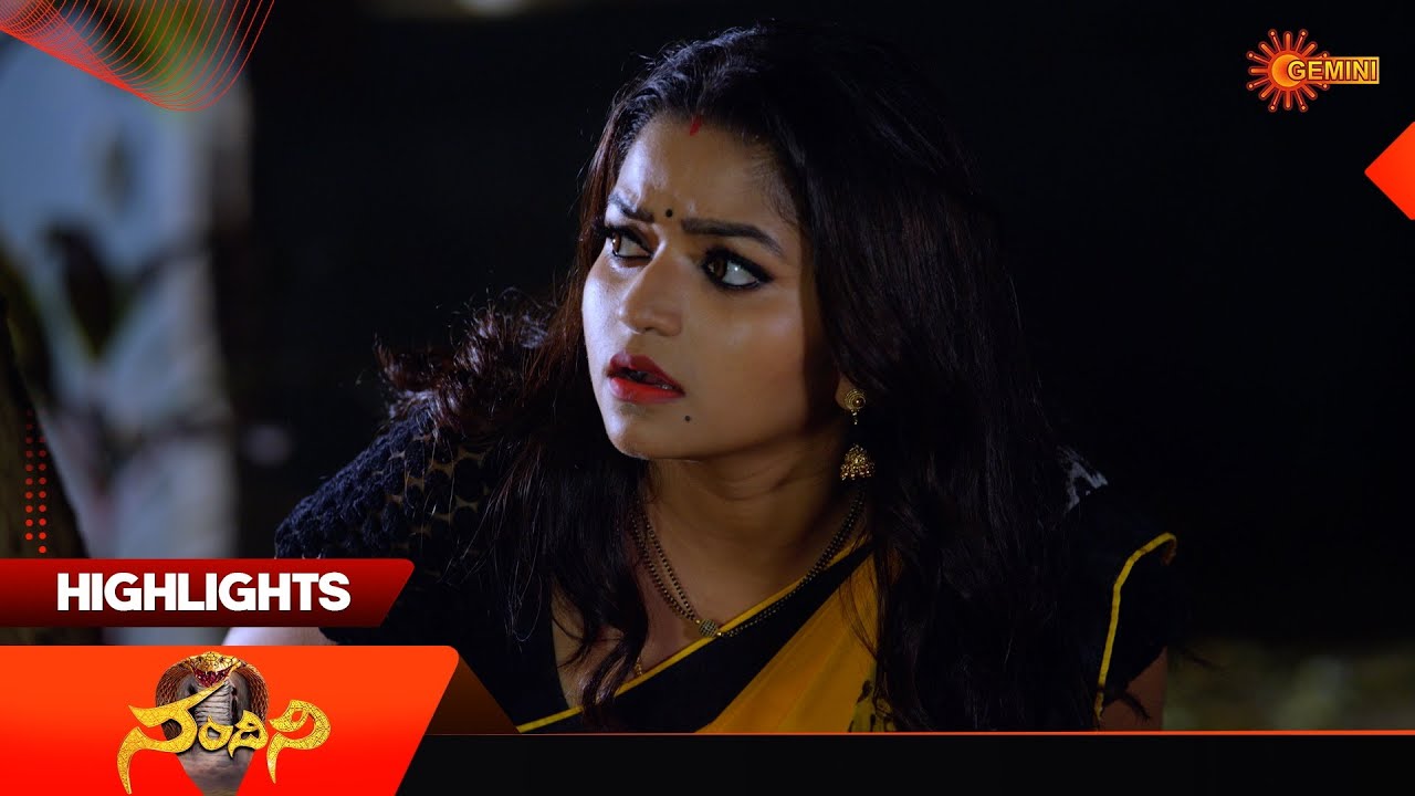 Nandini - Highlights of the day | Watch full EP Sun NXT | 24 Nov 2025 | Gemini TV