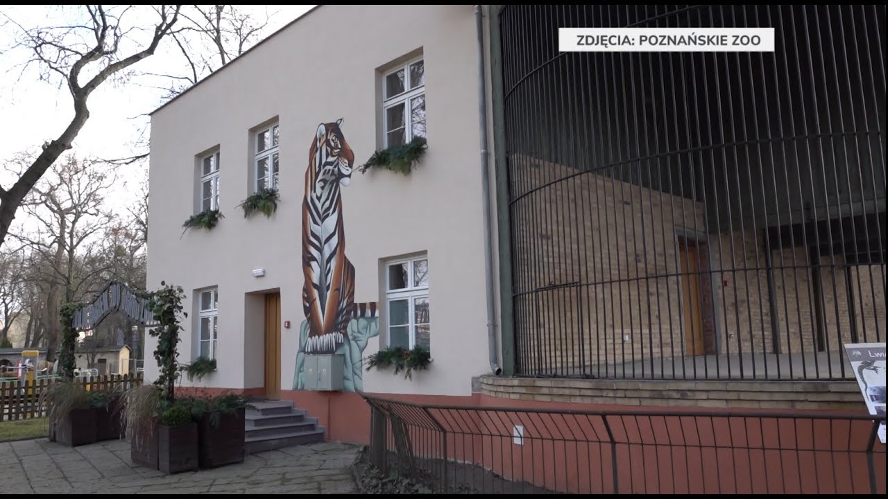W Poznaniu powstało Muzeum Historii Zoo. To pierwsze takie muzeum w Polsce i Europie