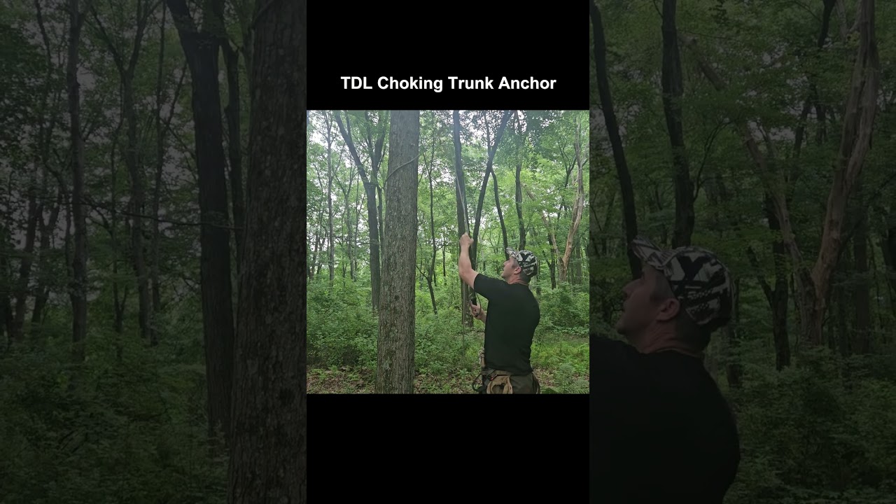 TDL Anchor and Maverick Pole #saddlehunting #treeclimbing #safety #deerhunting  #jrbtreeclimbing