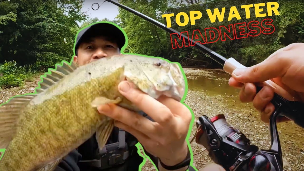 Unexpected Explosion _SHIMANO VANFORD 3000 + DAIWA BLAZON MH_TOP WATER TESTING BASS FISHING