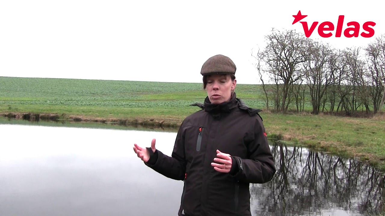 Sikker vildtpleje: En ny sø med tilskud og omtanke