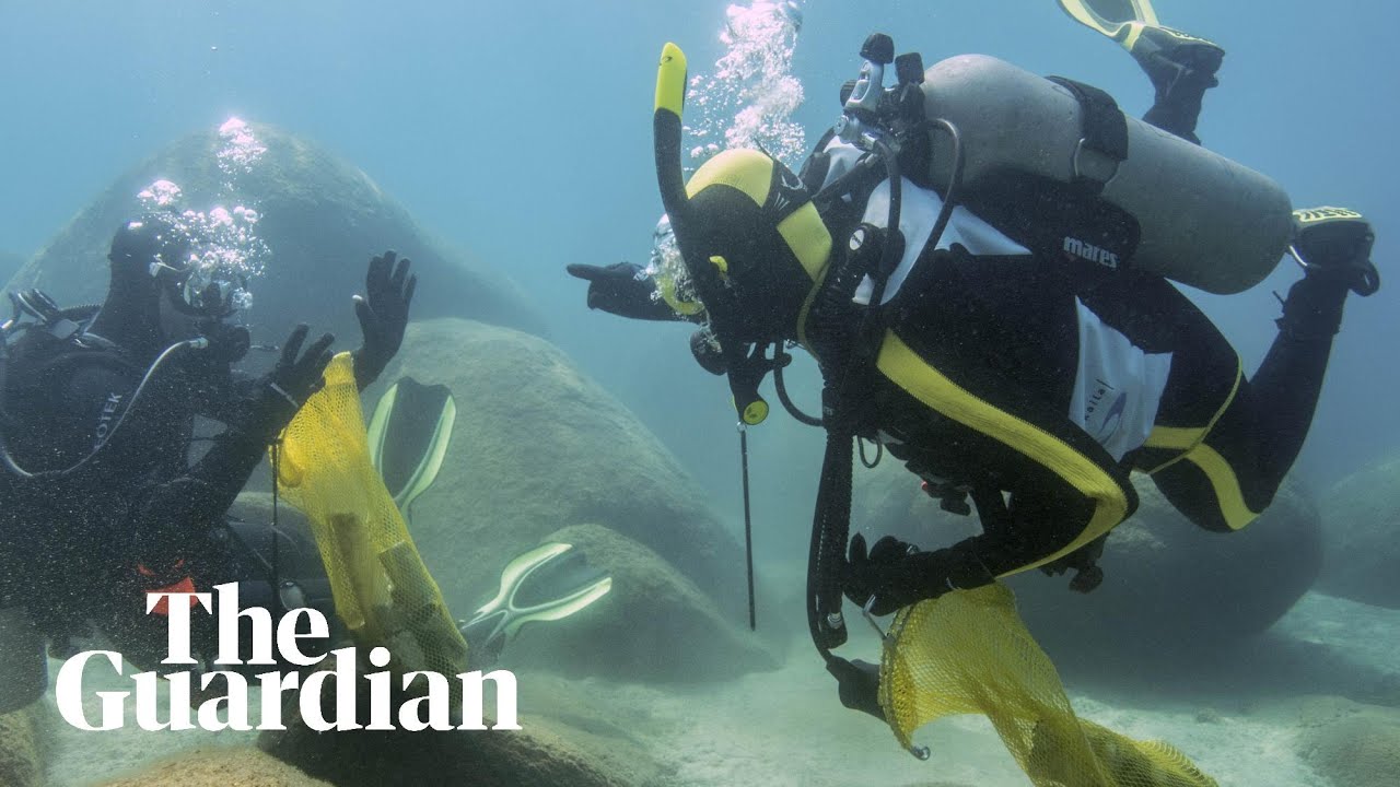 Divers remove 200lb of trash from Lake Tahoe in one day