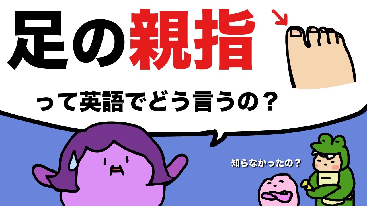 【意外に言えない！】 足の親指、人差し指って英語で言える？指の言い方 [