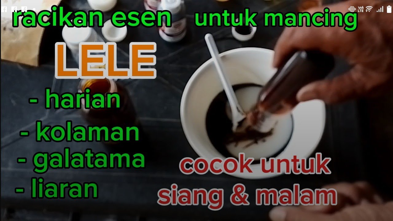 racikan esen untuk mancing lele harian, kolaman, galatama, cocok buat siang dan malam