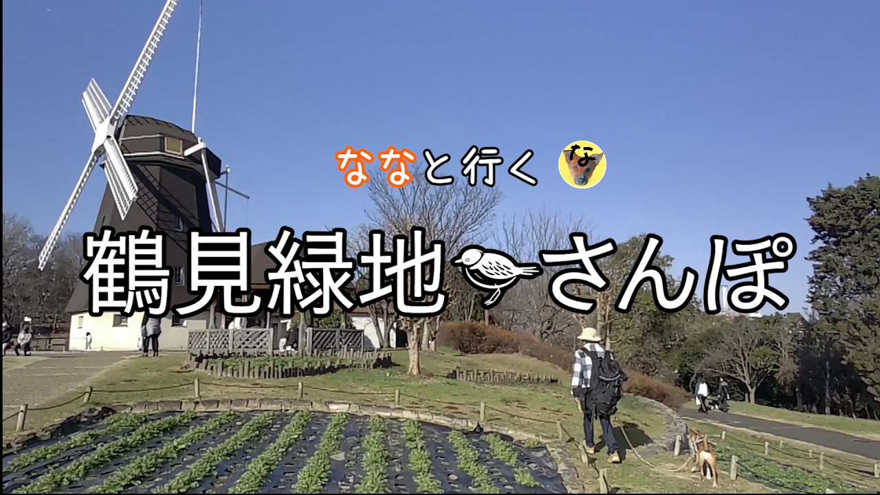 鶴見緑地さんぽ