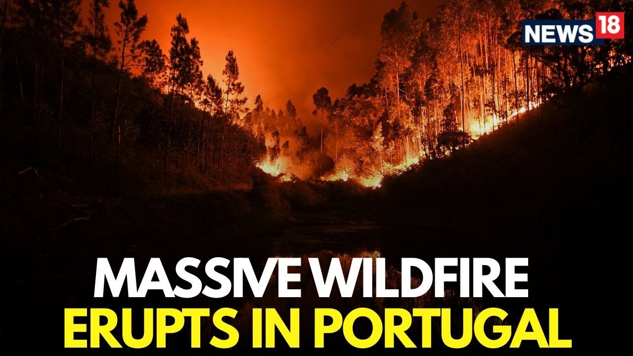 LIVE: Massive Wildfire Engulfs Portugal , 700+ Firefighters Battle Blaze Northeast of Lisbon | N18G