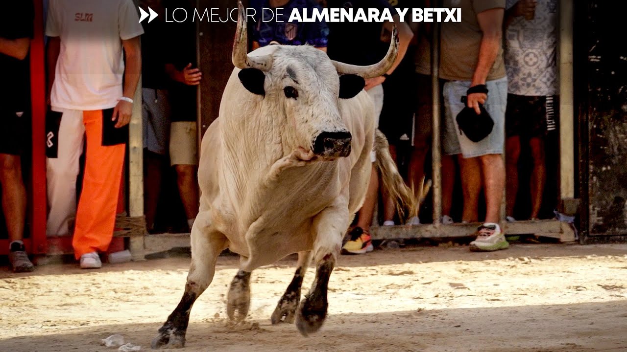 💥 La esencia del toro en la calle: Imágenes exclusivas de Betxí y Almenara
