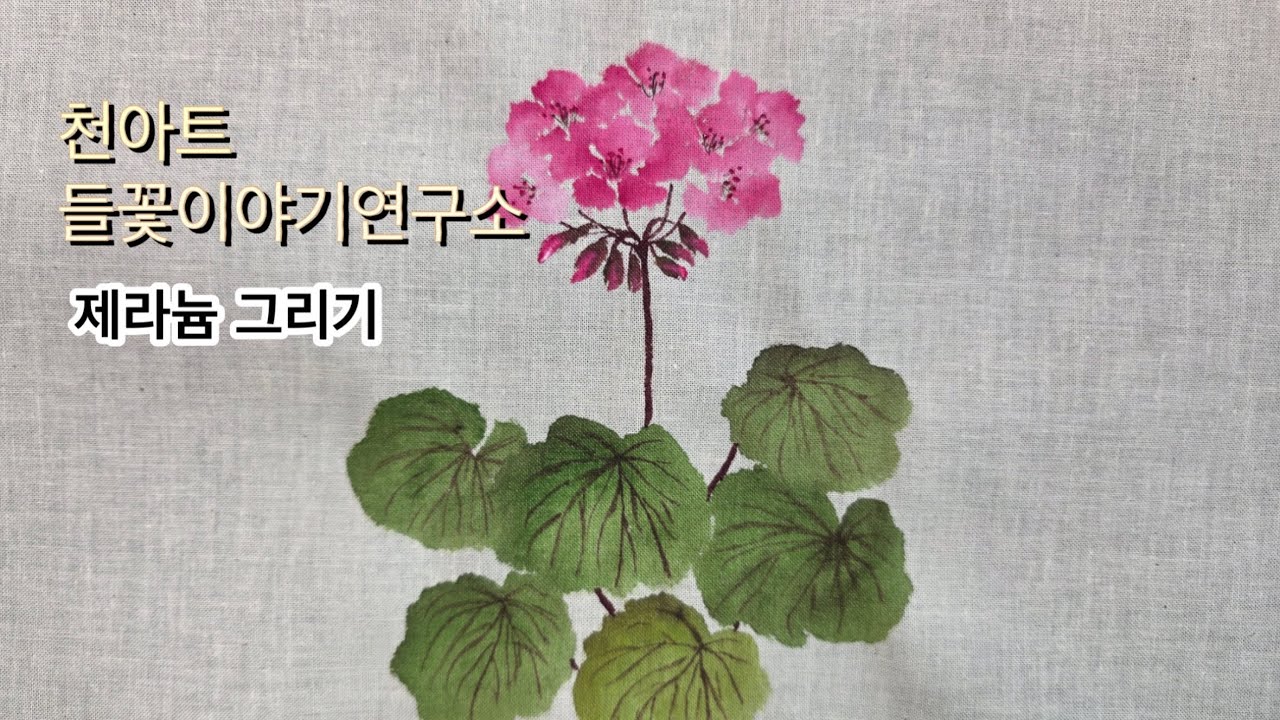 [들꽃이야기] 제라늄 그리기