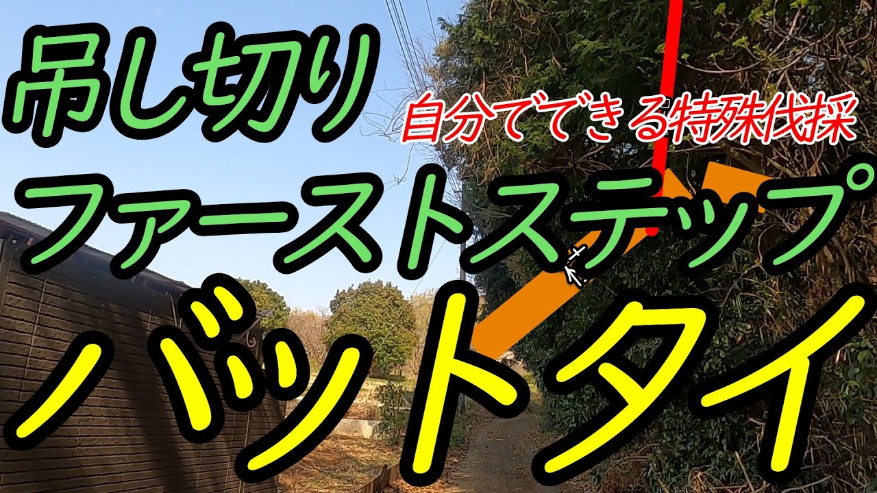 1人でもできる。専用機材が無くてもできる。大きくなる前に、自宅の木吊るし切り。
