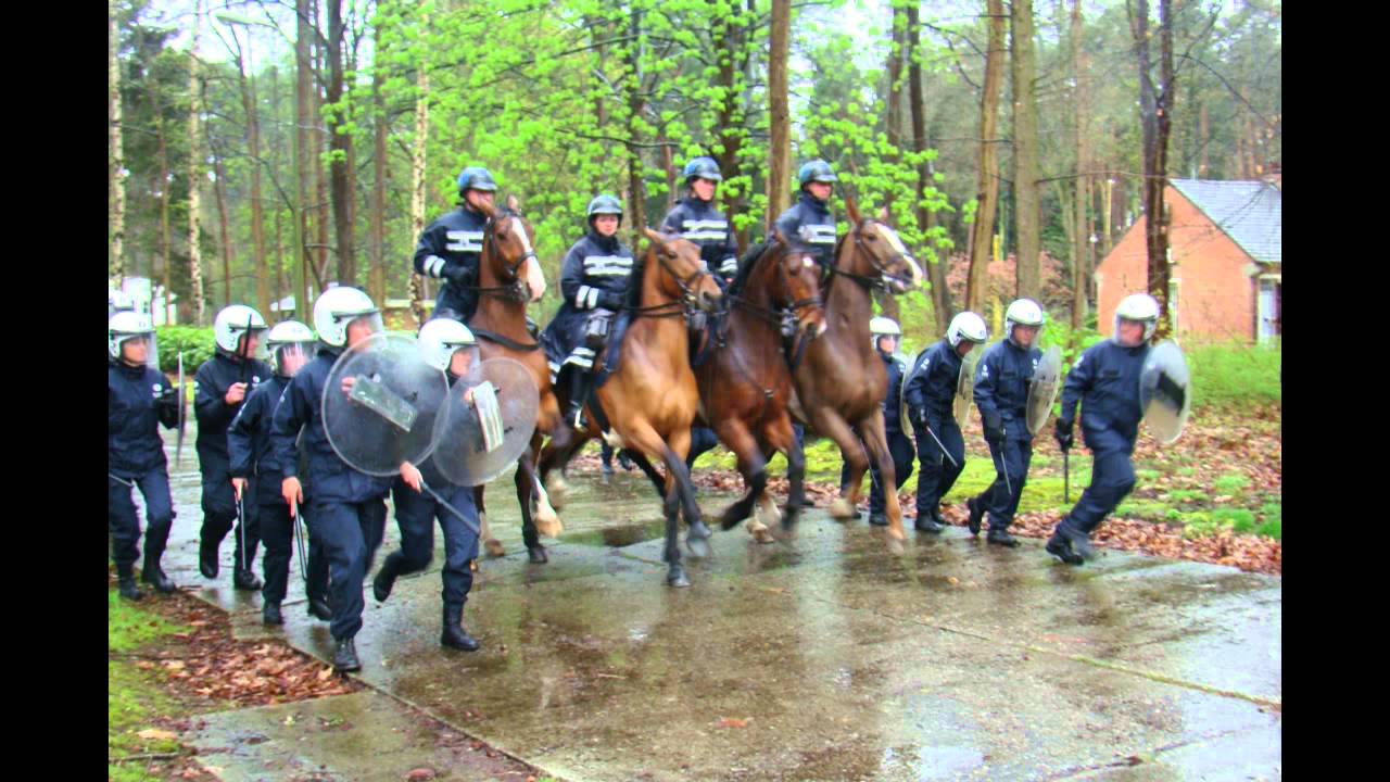 Maatschappelijke veiligheid KA Geraardsbergen