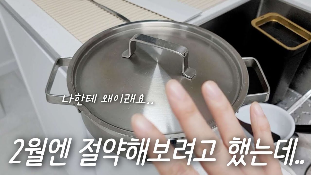미니멀라이프 절약 가계부 / 2월엔 절약 좀 하게 도와줘라 / 쇼핑에 쇼핑을 더하다 / 10년 쓴 스텐냄비 잘가 / 주부 일상 브이로그
