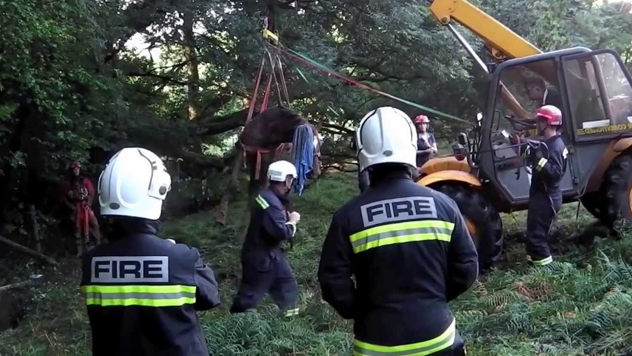 Horse gets stuck in a Landslide, Horse Rescue