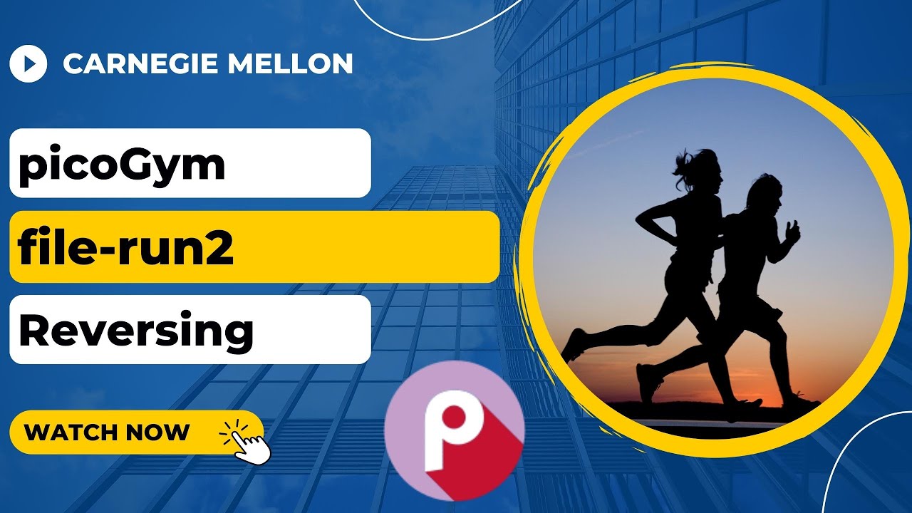 picoGym (picoCTF) Exercise: file-run2