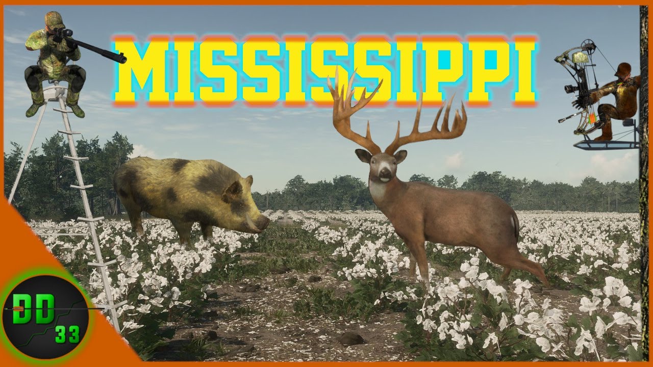 This is How I Hunt The Fields Of Mississippi Acres! Call Of The Wild