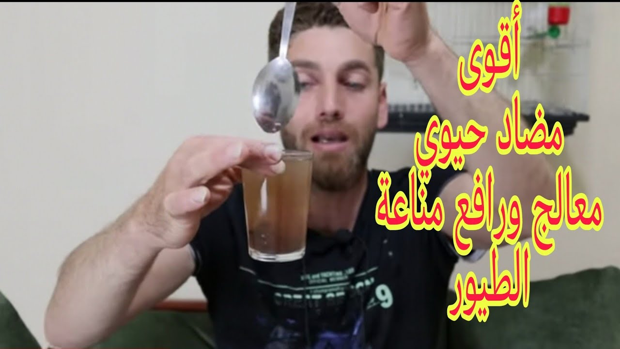 أفضل واقوى مضادات حيوية أقدمها لطيوري في هذا الوقت (مناعة _تغريد_علاج)