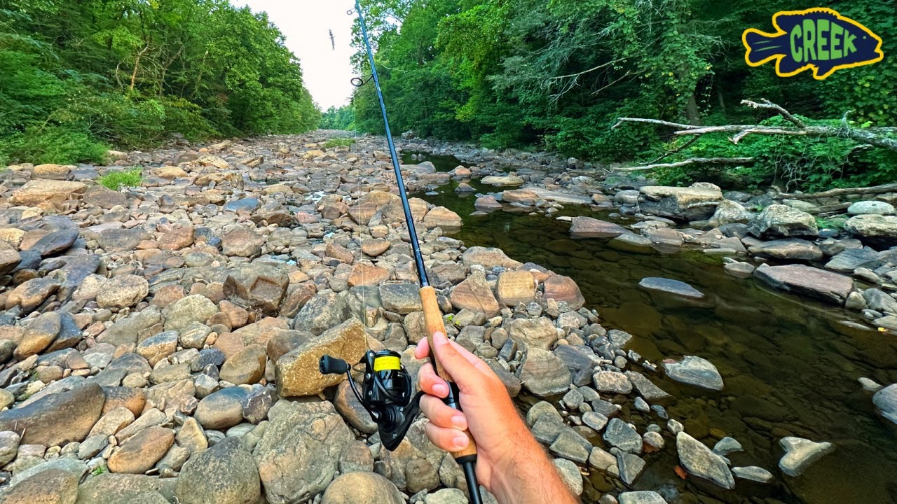 DRIED UP Creek приготовил БОЛЬШОЙ сюрприз!