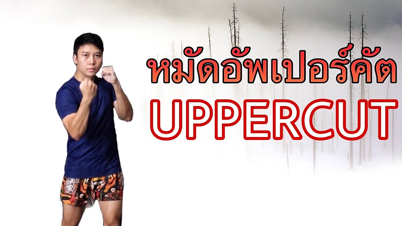 สอนมวย MMA : การต่อยหมัดอัพเปอร์คัต