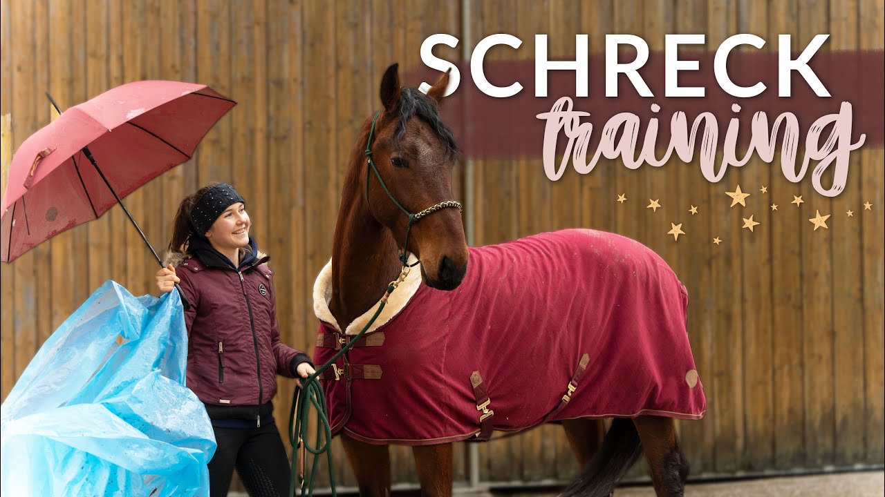 SCHRECKTRAINING | Tino eskaliert | Trainingstagebuch #2 | PILSALI