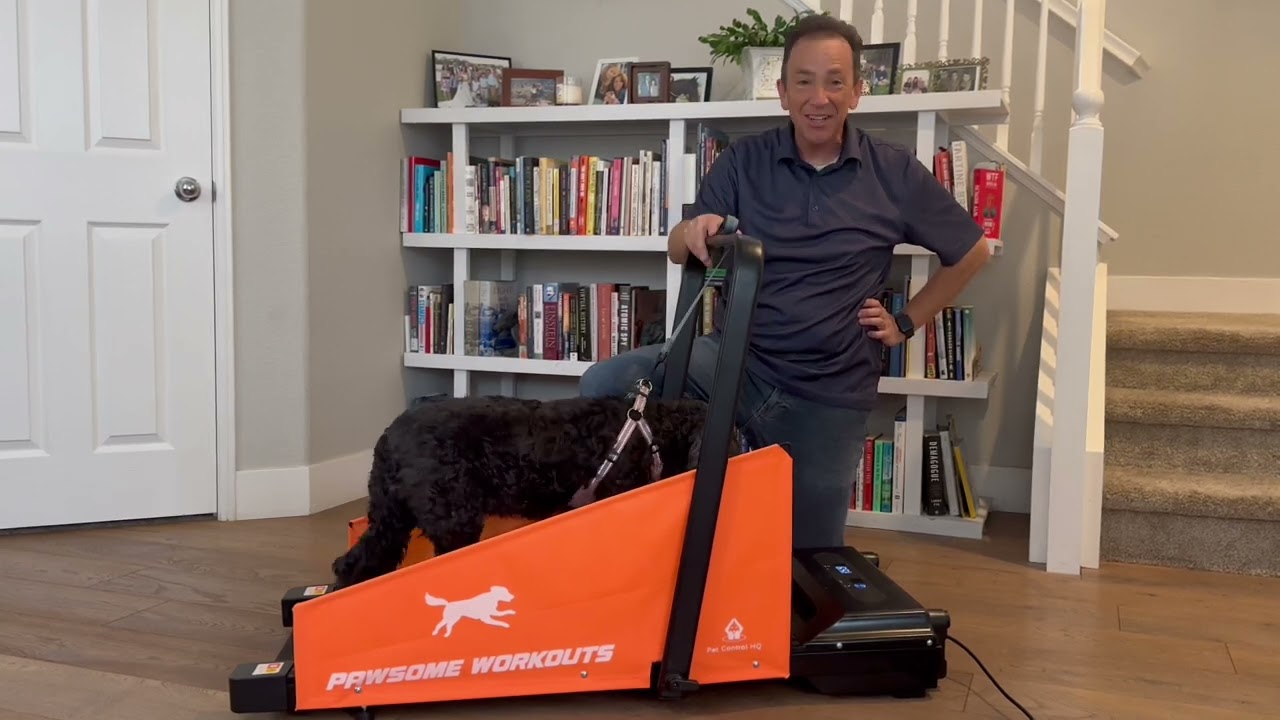 Dog Treadmill Review | Why We Love It for Indoor Pet Exercise | 2025