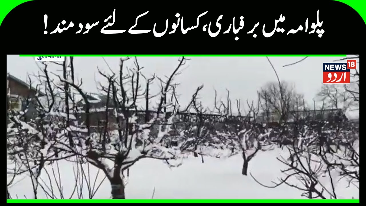 Kashmir News | پلوامہ میں برفباری، سوکھے سے راحت کسانوں میں خوشی کی لہر | Snowfall | News18Urdu