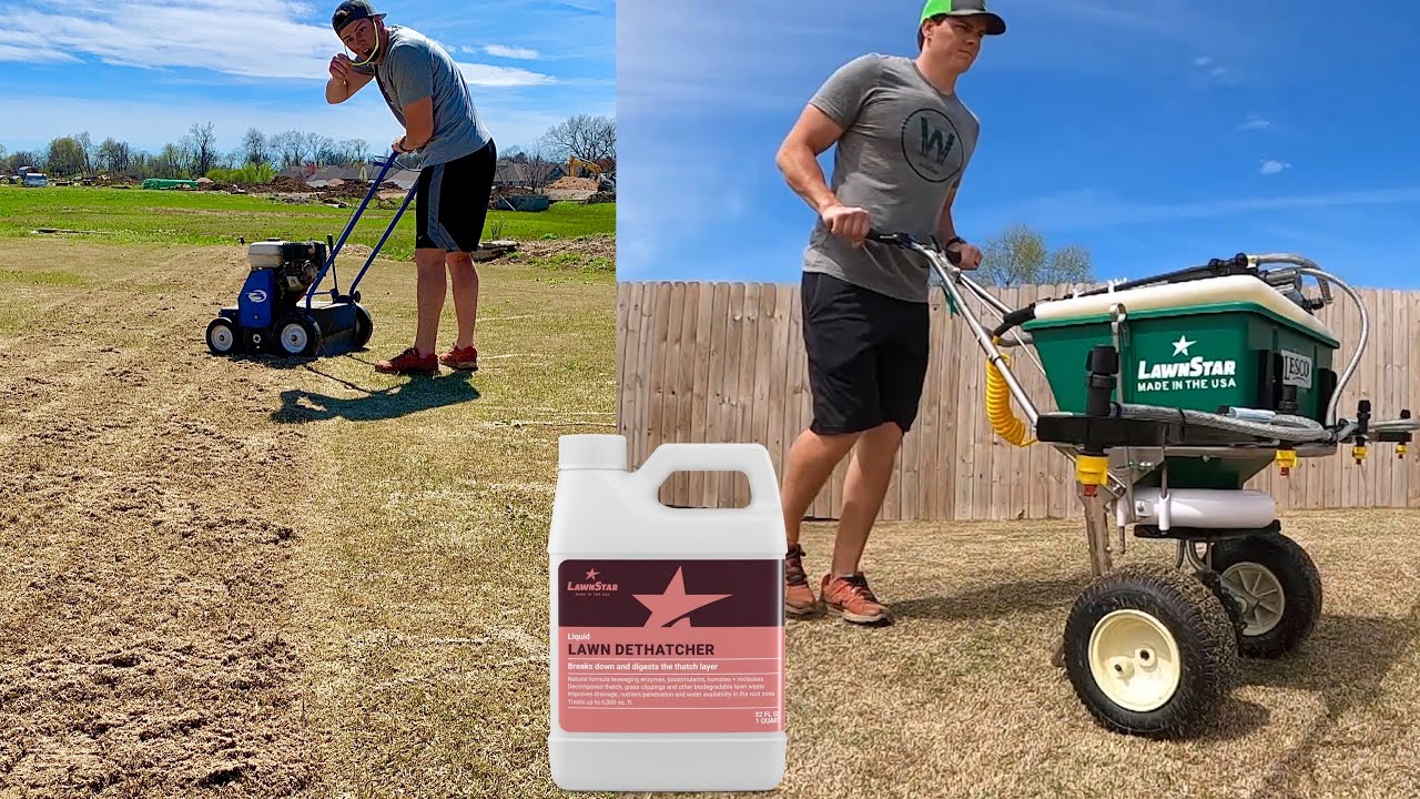POWER RAKE, reel mower, liquid DETHATCHER - The SCALP
