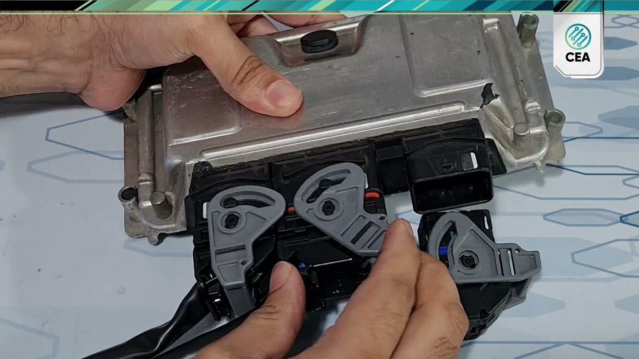 PINERAS CEA: RAPIDEZ Y PRACTICIDAD